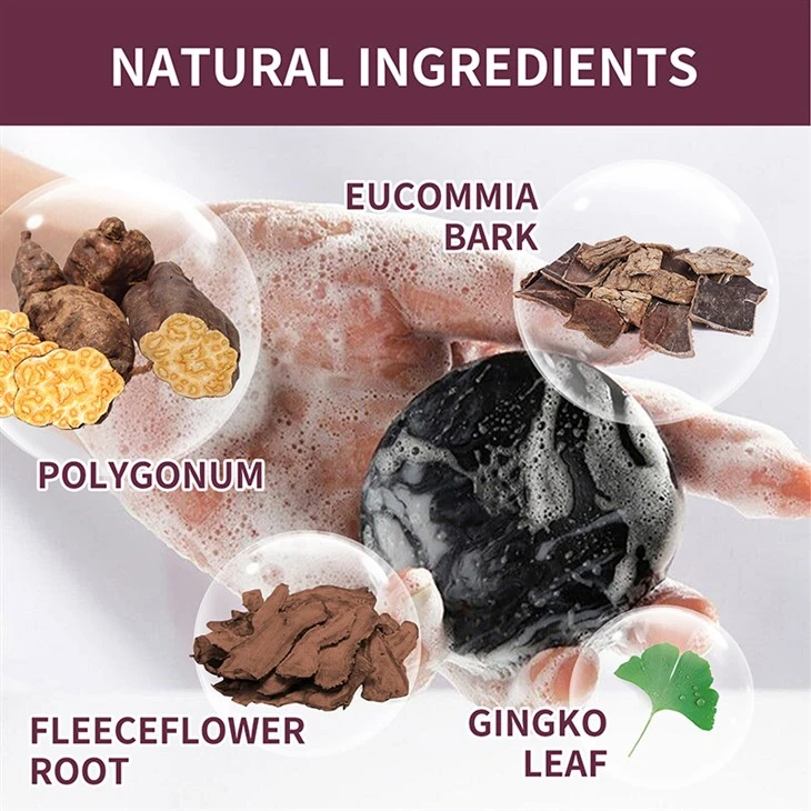 Polygonum Hair Darkening Shampoo Bar